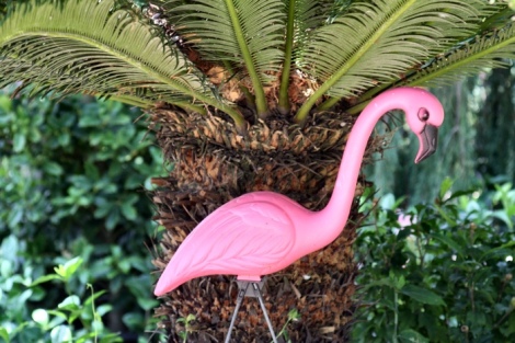150626 Flamingo & Palm