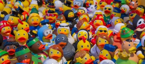170716 Toy Ducks